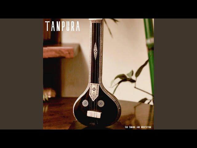 Tanpura - C Scale