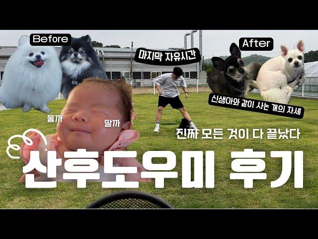 산후도우미 후기 이제 어떻게해야하나요? 신생아와 같이 사는 강아지 털 관리