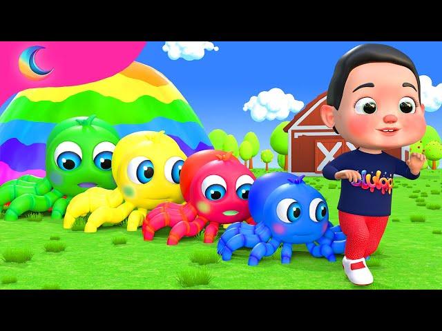 Itsy Bitsy Spider | BluLoo Nursery Rhymes & Kids Songs