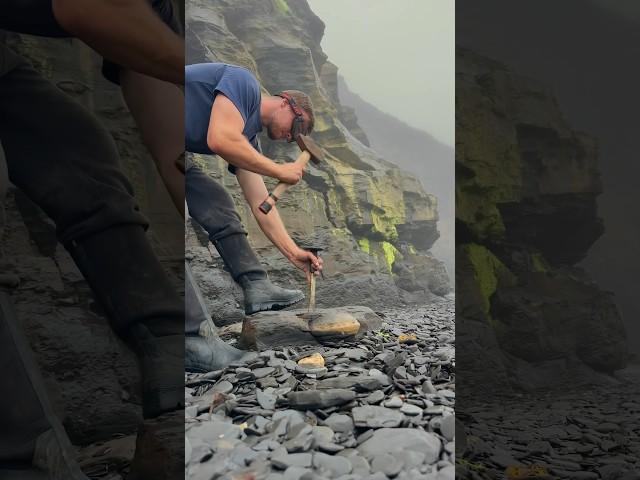 Searching Giant Rocks For Fossils! #sea #beach #fossil