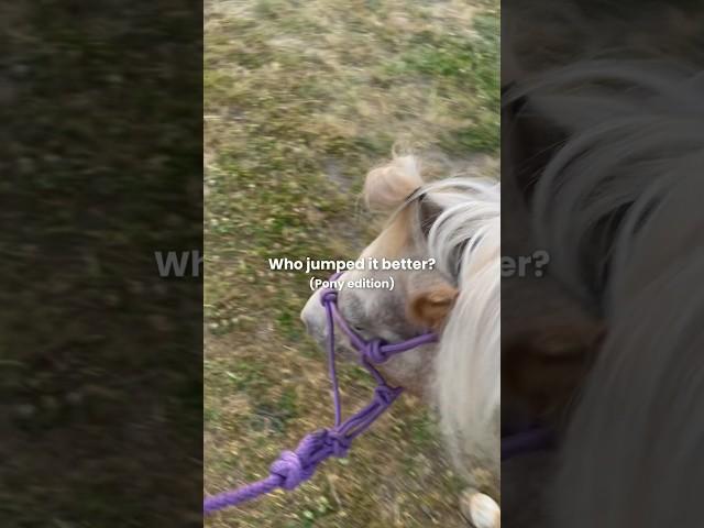 Rosie or Woody? || #feedshorts #equestrian #eq #trending #fypシ゚viral #fyp #fypage #horse #viralshort