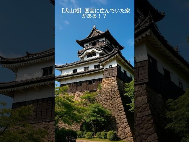 【愛知・犬山城】国宝に住んでいた家がある！？