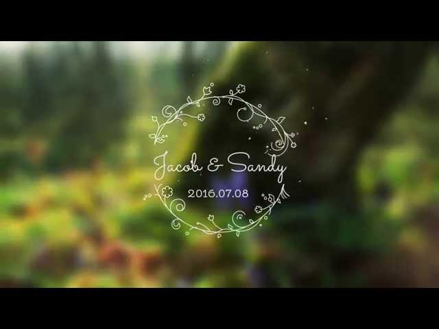 Wedding Titles - After Effects Template