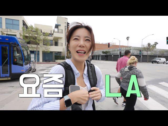 LA 일상을 담은 현실 브이로그