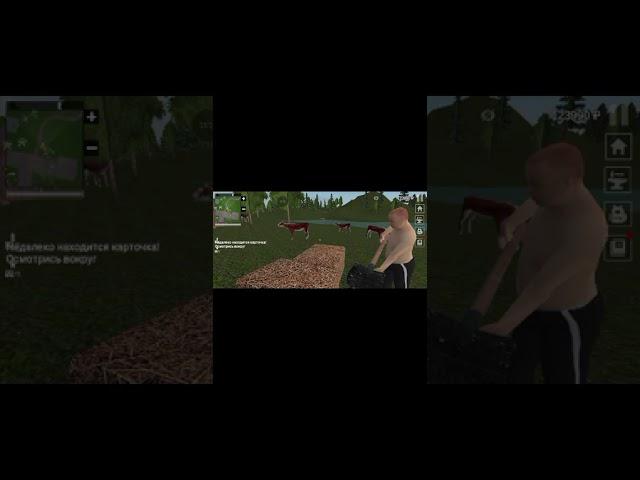 Я играю в симулятор русской деревни 3D 