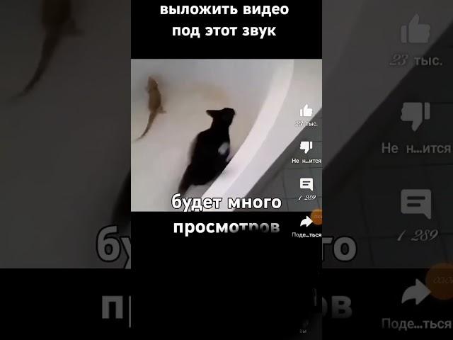 Давайте? #skibiditoilet #cover