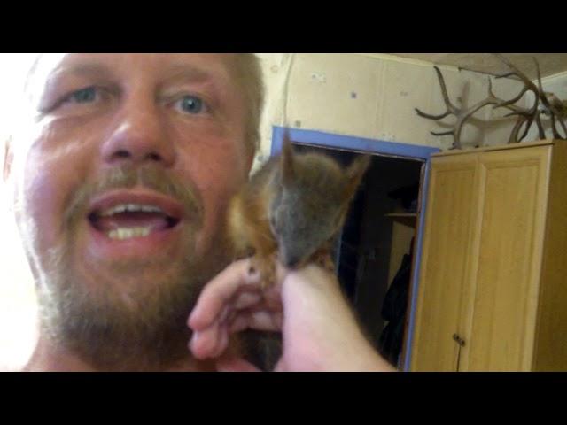 Белочка Джулия. Или Джульбарс.