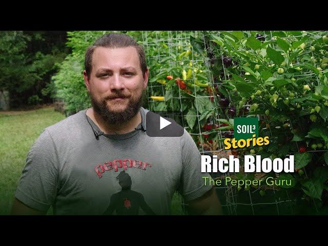 Rich Blood, The Pepper Guru - Soil3 Stories