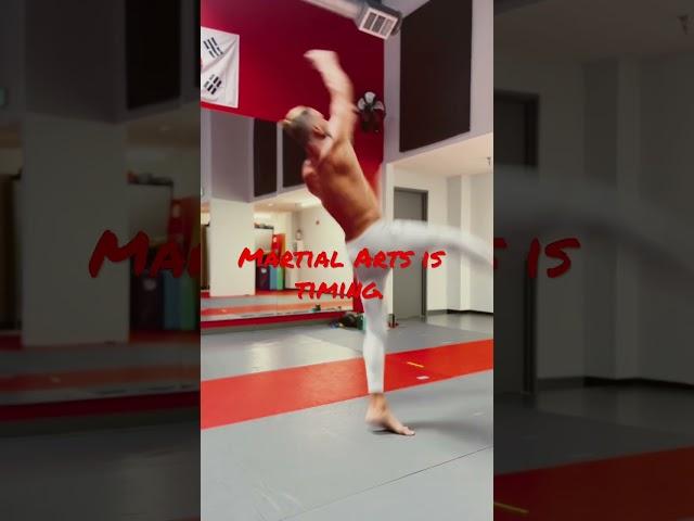 Timing and precision #martialartist #martialart #martialarttraining #tricking #muaythai #karate #tkd