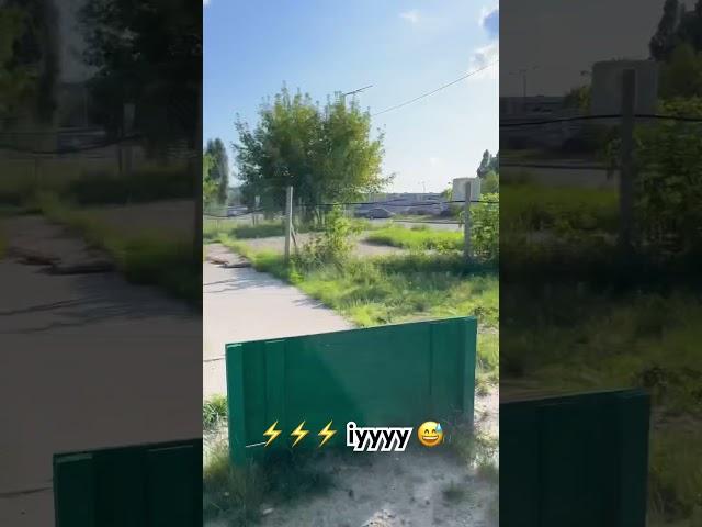 ПЕС  #пес #собака #dog #швидкість #блискавка #ukraine #recommended #shorts