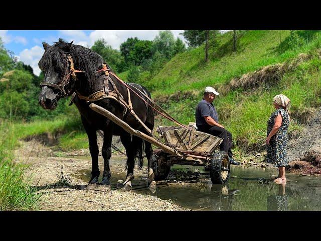 Happy Old Age of an Elderly Couple in an Old Village Far from Civilization! How is Salt Extracted?