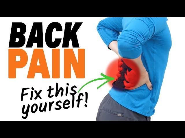 How To Treat Back Pain At Home - Strategies, Tests, And Exercises For Your Back