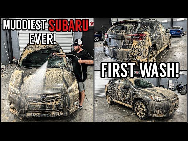 Deep Cleaning The MUDDIEST Subaru Ever! | Insanely Satisfying Disaster Car Detailing Transformation!