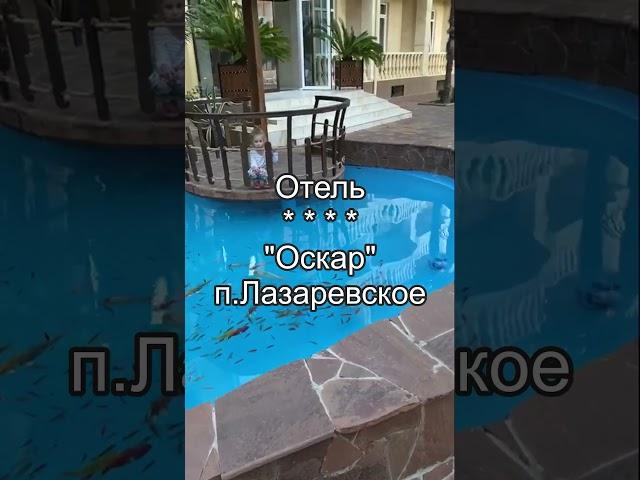 Бассейн-пруд с рыбами. Отель Оскар Сочи! #фонтан #fountain #бассейн #пруднадаче #отдых #watermaster