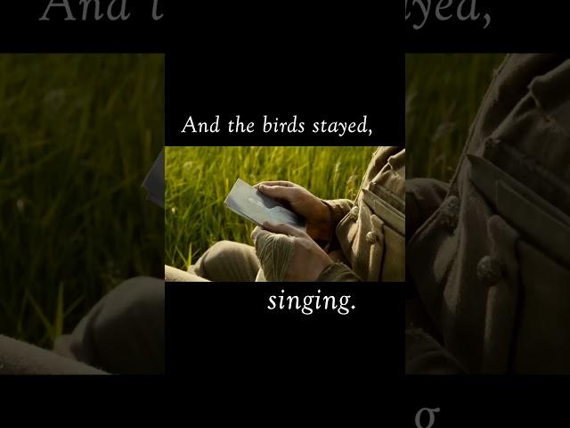 And the birds stayed, singing  #tolteca #carloscastaneda #toltecwisdom #memorialday #shaman
