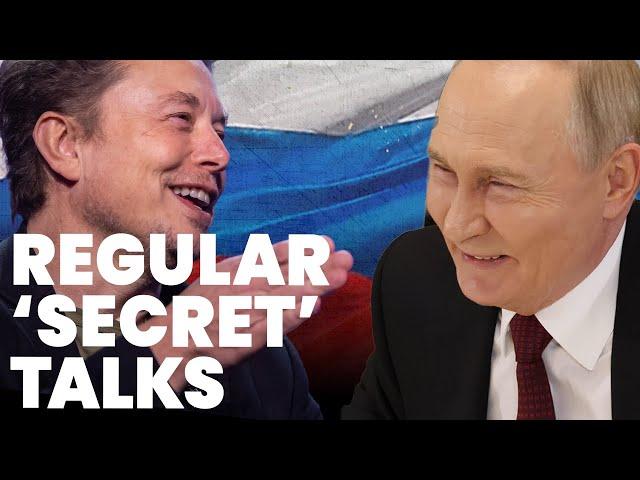 Putin has regular secret contact with Elon Musk