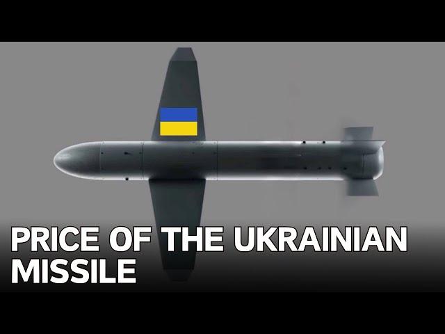 Fedorov named the cost of the Ukrainian drone missile Palyanytsia