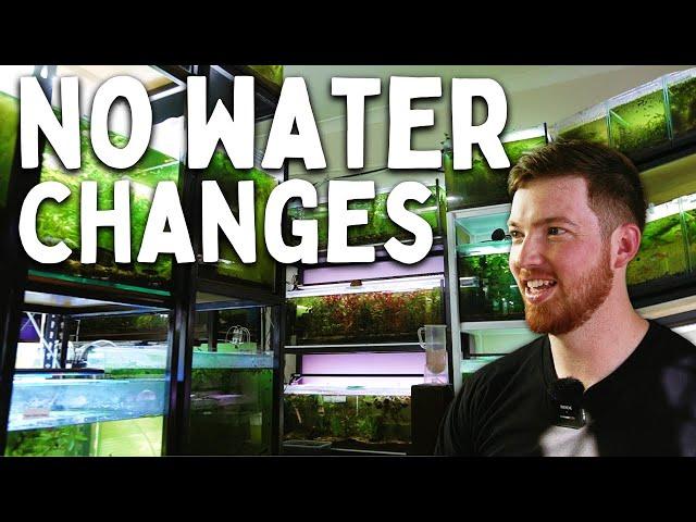 Hobbyist Fish Room with NO Water Changes | Full Tour