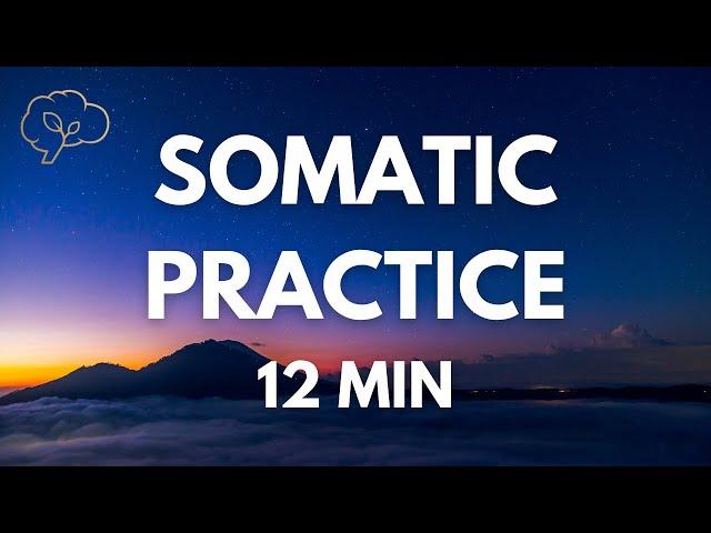 Somatic Exercises for Nervous System Regulation | 12 Min Guided