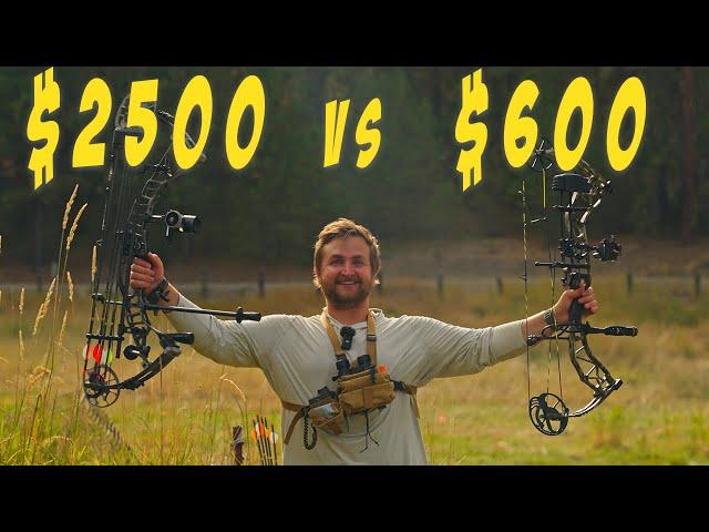 $600 Bow VS $2,500 Bow