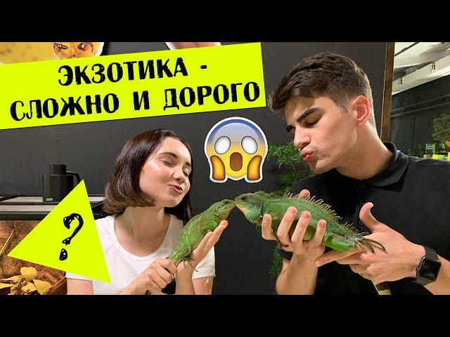 Экзотика - это СЛОЖНО и ДОРОГО?