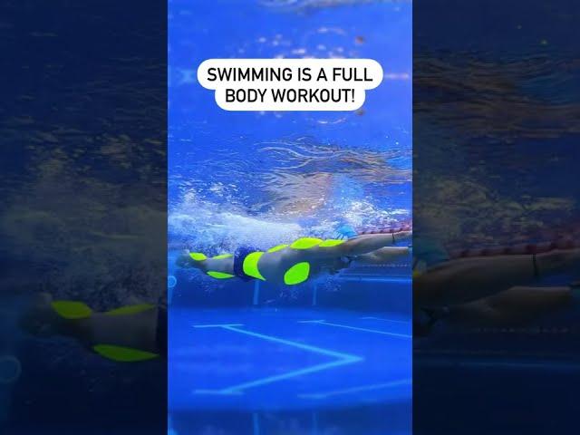 What Muscles Does Breaststroke Swimming Use?