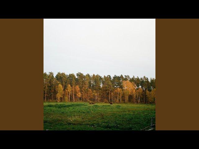 Sweet Grass