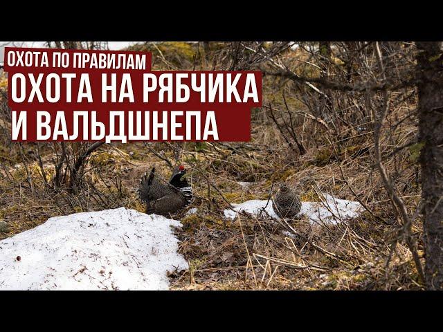 Охота на рябчика и вальдшнепа // Охота по правилам. Выпуск 2