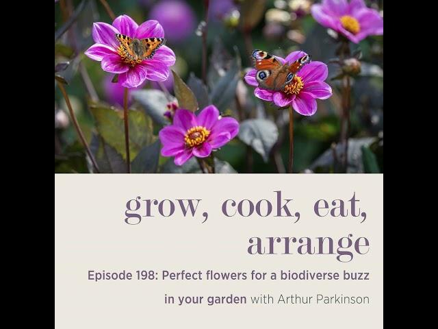 Perfect flowers for a biodiverse buzz in your garden with Arthur Parkinson - Episode 198