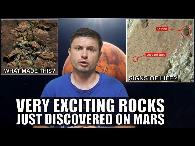 Mars Rocks With Bizarre Composition and Possible Signs of Life