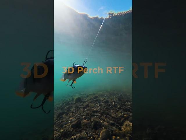 Realism like never before?  Dive in with the 3D Perch RTF