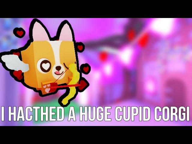 I HACTHED A HUGE CUPID CORGI 