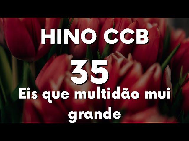 Hino CCB 35: Eis que Multidão mui grande - #ccbhinos #ccbhinario5  #ccbhinostocados #hinosccb