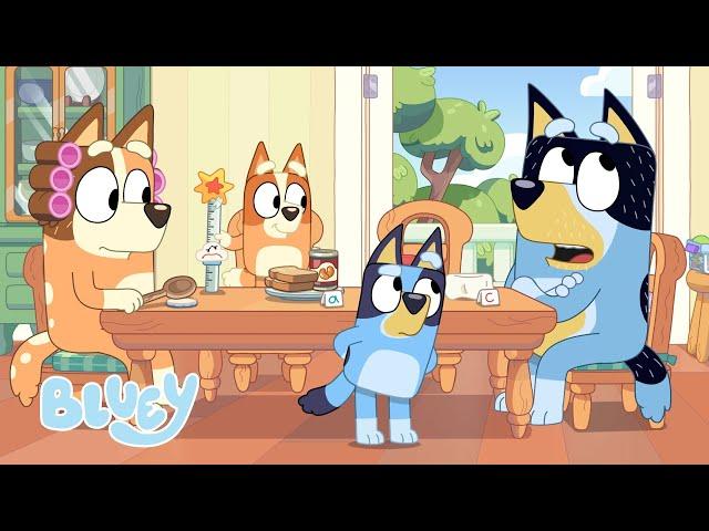 ¿Quién Fluffied? | Reunión familiar | Bluey Español Canal Oficial