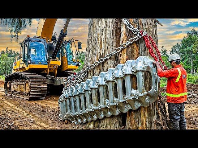 Extreme Dangerous Fastest Big Chainsaw Cutting Tree Machines | Monster Stump Removal Excavator #73