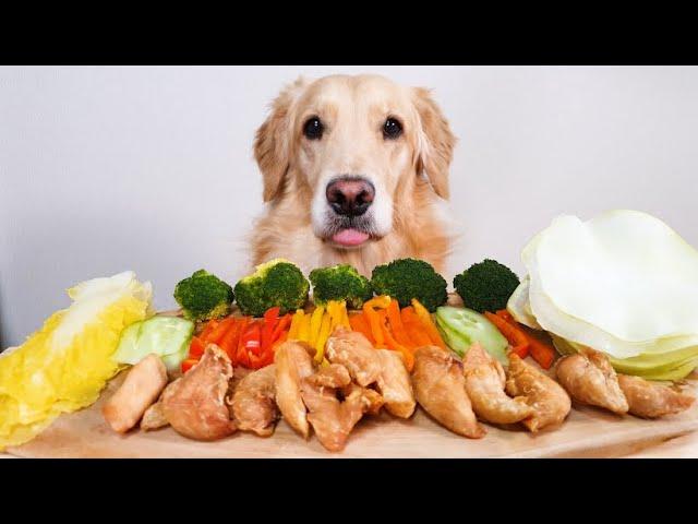 ASMR Dog MUKBANG Korean Chicken Fresh Vegetable Wrap SSAMChicken!!