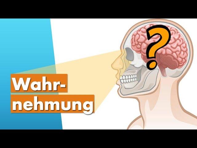 Menschliche Wahrnehmung einfach erklärt (Wahrnehmungspsychologie)