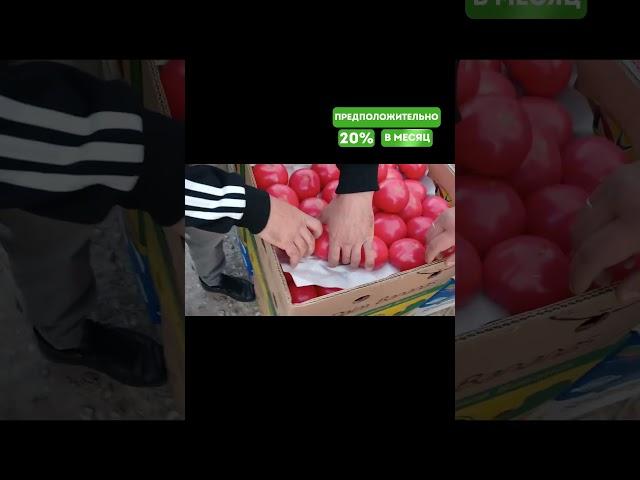 Помидоры в Желябовке оптом, цены от 24.05.25.