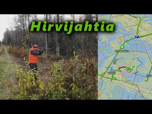 Hirvenmetsästys 2024 toinen jahtiviikonloppu