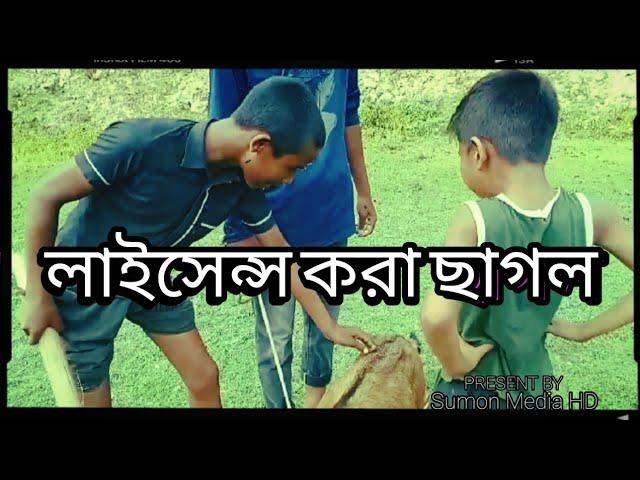 লাইসেন্স_করা_ছাগল_২০২৪ // Fanny_Video_2024 // Jahid // Dalowar // Sakil // Johurul // Sumon Media HD