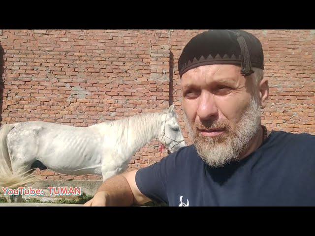 Расскажем и покажем, Для чего Рептухи и Верёвочные недоуздки.