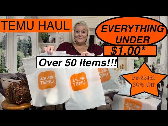 HUGE  TEMU HAUL  EVERYTHING UNDER $1.00* 