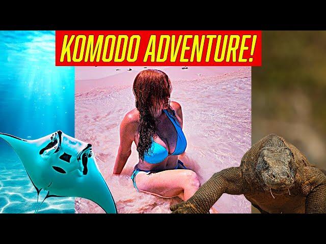 ULTIMATE Komodo Island ADVENTURE!  Pink Sand Beach & Swimming with Manta Rays!