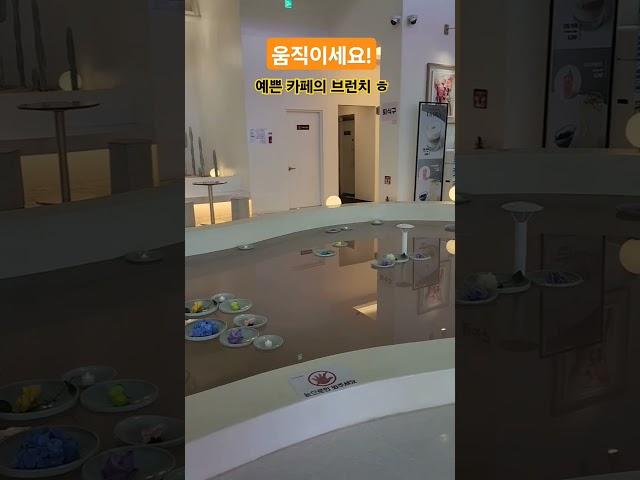 예쁜 카페 다녀왔어요^^ #장강사TV #shorts #라데아카페 #간단한운동 #힐링 #김포 #여행 #건강체조 #건강