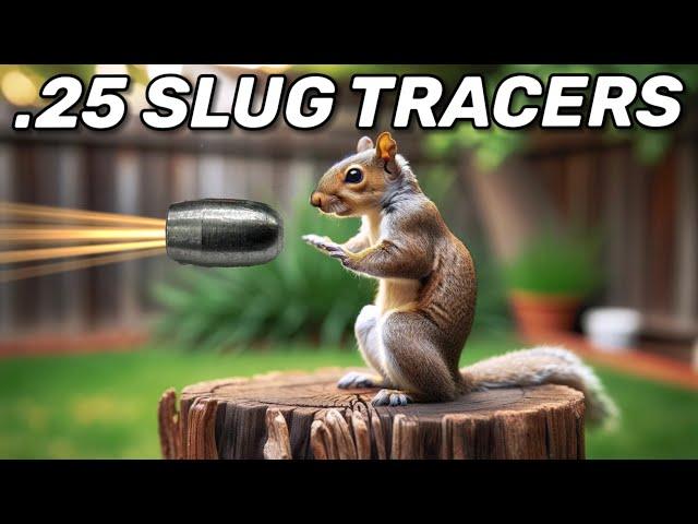 Are Slugs better for Squirrels?