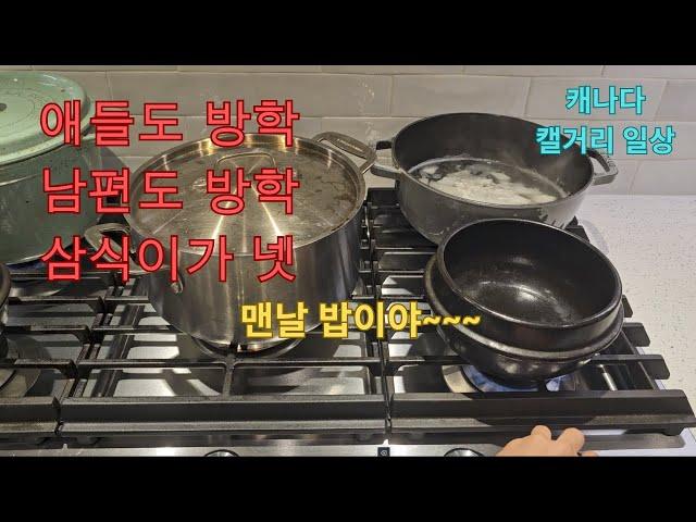 ( Vlog)애셋 어른 하나 삼식이가 넷ㅣ매일 매일 집밥하는 일상 ㅣ수육, 순두부 찌개, 바지락탕, 비빔밥, 콩나물국 ㅣ 캐나다 캘거리 국제 가족 일상