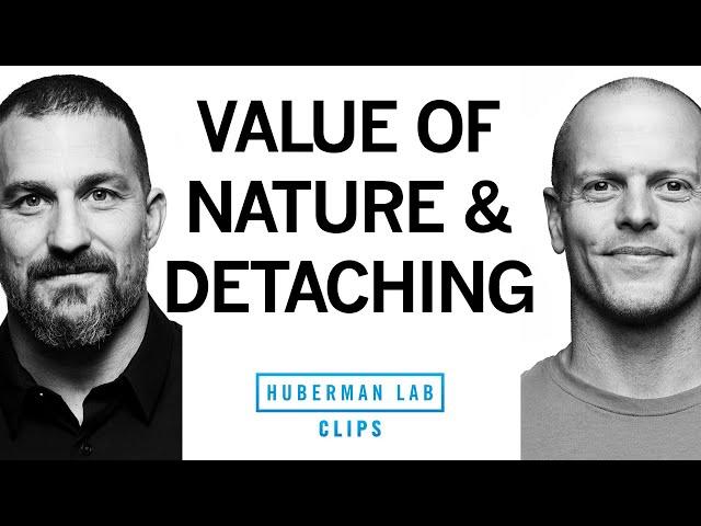 The Immense Value of Spending Time in Nature & Detaching | Tim Ferriss & Dr. Andrew Huberman