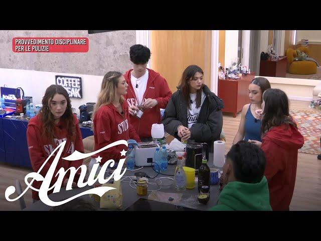 Amici 24 - Le reazioni al provvedimento disciplinare