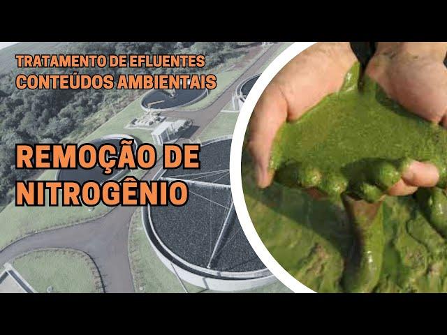 REMOÇÃO DE NITROGÊNIO EM EFLUENTES