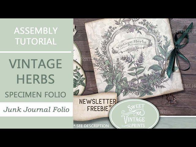 Vintage Herbs Specimen Folio Tutorial | Junk Journal Printables from Sweet Vintage Prints